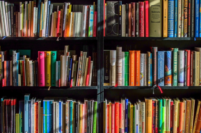 magasin-GONFARON-min_books_bookstore_book_reading_shop_writer_sale_books_read-822866